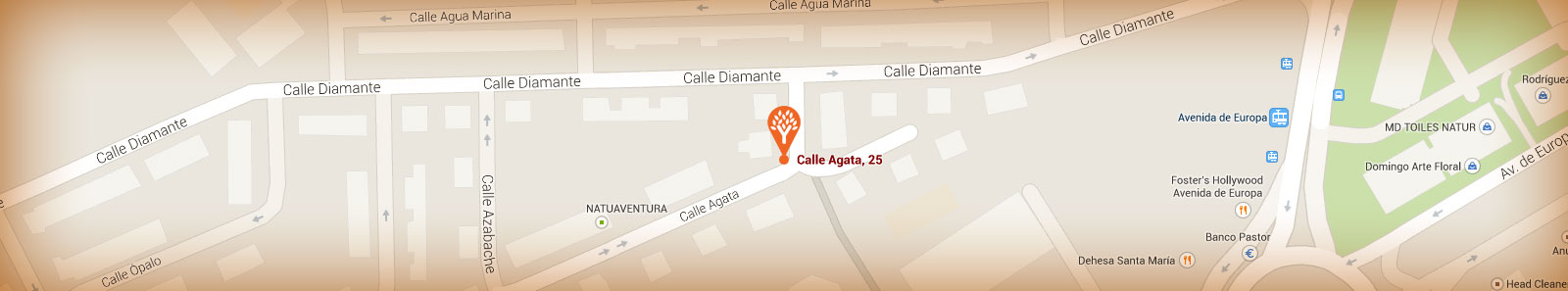 08_contacto_mapa